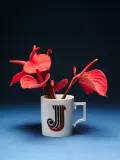 Westwing Collection Кружка Westwing x MEISSEN Initials, декор красный, арт. S21085 — фото 8