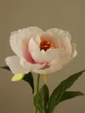 Botane Искусственный декоративный цветок One Head Peony — фото 5