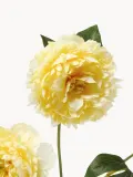 Botane Искусственный декоративный цветок Peony — фото 2