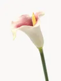 Botane Искусственные цветы Calla Lily, Д 66 см, Сиреневый — фото 2