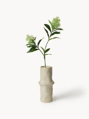 Botane Ветка декоративная Skimmia Berry