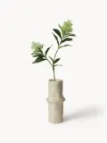 Botane Ветка декоративная Skimmia Berry — фото 1