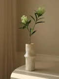 Botane Ветка декоративная Skimmia Berry — фото 4