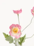 Botane Искусственный декоративный цветок Poppy, Д 56 см, Розовый — фото 2