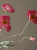 Botane Искусственный декоративный цветок Poppy, Д 56 см, Розовый — фото 3