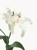 Botane Искусственные цветы Large Lily лилия, длина 68 см, Д 68 см, Белый — фото 2