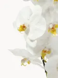 Botane Искусственные цветы Large Orchid орхидея, длина 90 см — фото 2
