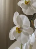 Botane Искусственные цветы Large Orchid орхидея, длина 90 см — фото 4