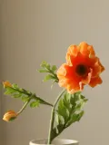 Botane Искусственные цветы Large Poppy мак, длина 60 см, Д 60 см, Оранжевый — фото 3