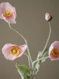 Botane Искусственные цветы Poppy маки ветвистые, длина 56 см — фото 5