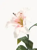 Botane Искусственные цветы Large Lily лилия, длина 68 см, Д 68 см, Светлый розовый — фото 2