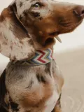 Buddys Dogwear Ошейник для собак Naya ручной работы тканый с латунной пряжкой, длина 32 см, сине-красный — фото 8