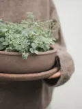 DBKD Кашпо уличное из терракоты Terra, высота 11 см, Ø 30 × В 11 см, Nugatowy — фото 8