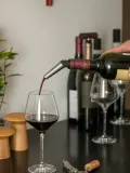 Eva Solo Складная лейка для вина Apero из силикона со стальным носиком, 13 см — фото 4
