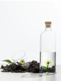 Ichendorf Стакан Botanica из боросиликатного стекла с цветком, зелёный с оттенками жёлтого — фото 2