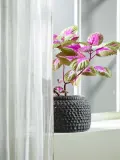 Nordal Кашпо для цветов Aoba, 13 см, Ø 19 × В 13 см, Антрацитовый — фото 2