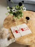 Printworks Блокнот-дневник A Dog’s Life для записей о собаке в тканевой обложке, 19 x 24 x 2 см, бежевый с красным — фото 5