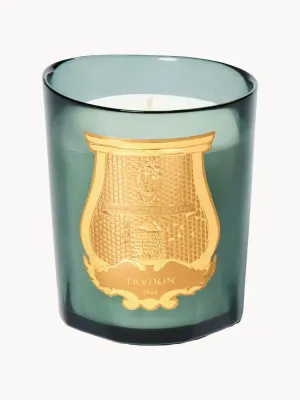 Ароматическая свеча Trudon Figuerie
