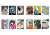 Hachette раскраска по номерам Coloriages mystères - Animaux adorables — фото 6