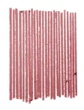 MAC Cosmetics Lip Pencil - Карандаш для губ, 1 г, оттенок Dervish — фото 2