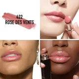 DIOR Dior Addict Refill - Блестящая помада для губ - наполнение, оттенок 422 Rose des Vents — фото 3