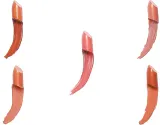 Revolution PRO Lipstick Collection - Набор помад, 5 шт, оттенок Bare — фото 2