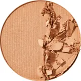 MAYBELLINE NEW YORK City Bronzer - Бронзирующая пудра для контурирования оттенок 200 Medium Cool, 8 g — фото 2