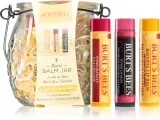 Burt’s Bees Balm Jar - Подарочный набор для губ, 0 — фото 1