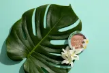 Physicians Formula Butter Matte Monoi - Компактная бронзирующая пудра оттенок Matte Bronzer, 9 g — фото 2