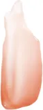 theBalm Lip Oil - Масло для губ оттенок Sunset Boulevard, 7 ml — фото 2