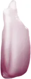 theBalm Lip Oil - Масло для губ, 7 мл, оттенок Berry Fast — фото 2