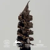 MÁDARA Grow & Fix - Гель для бровей - тонирующий., 4 мл, оттенок Ash Brown — фото 2