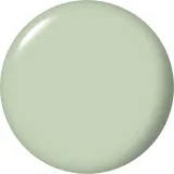 OPI Nature Strong Nails&Skin - Лак для ногтей веганский оттенок Sage It for Later, 15 ml — фото 2
