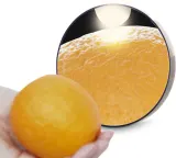 RIO 10x Magnifying Mirror - Увеличивающее зеркало с присосками, 1 szt. — фото 2