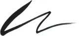 NARS Climax LIQUID EYELINER - Подводка в виде карандаша оттенок EXPLICT BLACK, 0 g — фото 4
