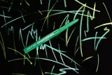 Wet n Wild Chameleon Chrome - Металлический карандаш для глаз, оттенок Superstar Suit — фото 4