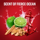 Old Spice Captain - Гель для душа для мужчин, 1000 ml — фото 3