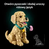 Конструктор LEGO Icons 11384 Щенок золотистого ретривера — фото 8