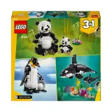 Конструктор LEGO Creator 31165 Дикие животные семья панд 3 в 1 — фото 4