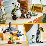 Конструктор LEGO Creator 31165 Дикие животные семья панд 3 в 1 — фото 8