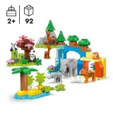 LEGO DUPLO Town - Семьи диких животных 3 в 1 10446 — фото 5