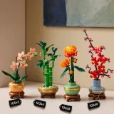 Конструктор LEGO Botanicals 10343 Маленькая орхидея — фото 8