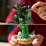 Конструктор LEGO Botanicals 10344 Драцена сандера — фото 6