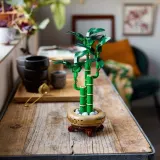 Конструктор LEGO Botanicals 10344 Драцена сандера — фото 7