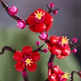 Конструктор LEGO Botanicals 10369 Цветок сливы — фото 6