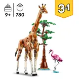 Конструктор LEGO Creator 31150 Дикие сафари-животные 3 в 1 — фото 6