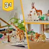 Конструктор LEGO Creator 31150 Дикие сафари-животные 3 в 1 — фото 8