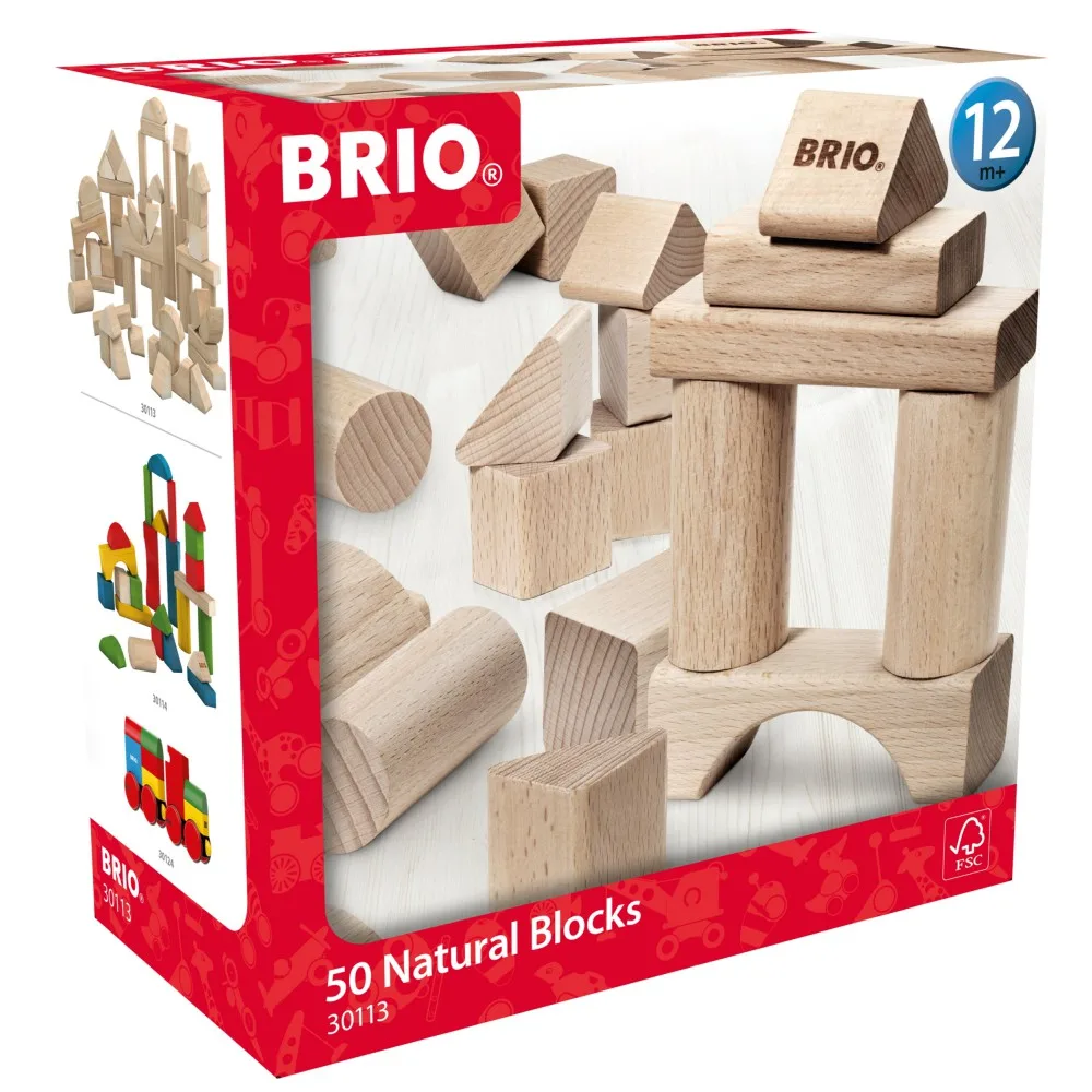 Brio - Набор 50 деревянных блоков 30113