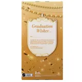 Mattel JJX81 — Коллекционная кукла Barbie Graduation Wishes Выпускница JJX81 — фото 4