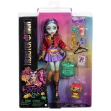 Monster High - Основная кукла Jinafire Long + животное HYV58 — фото 1